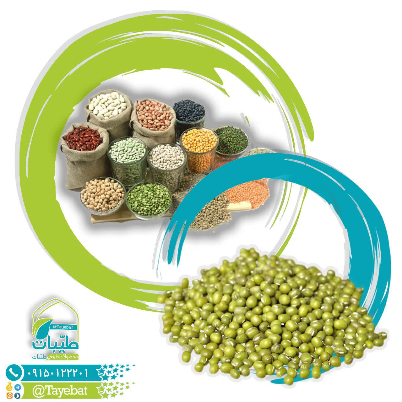 ماش (ایرانی)