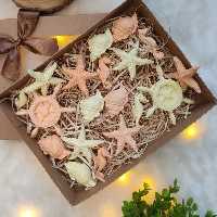 کد27-صابون دریایی جدید