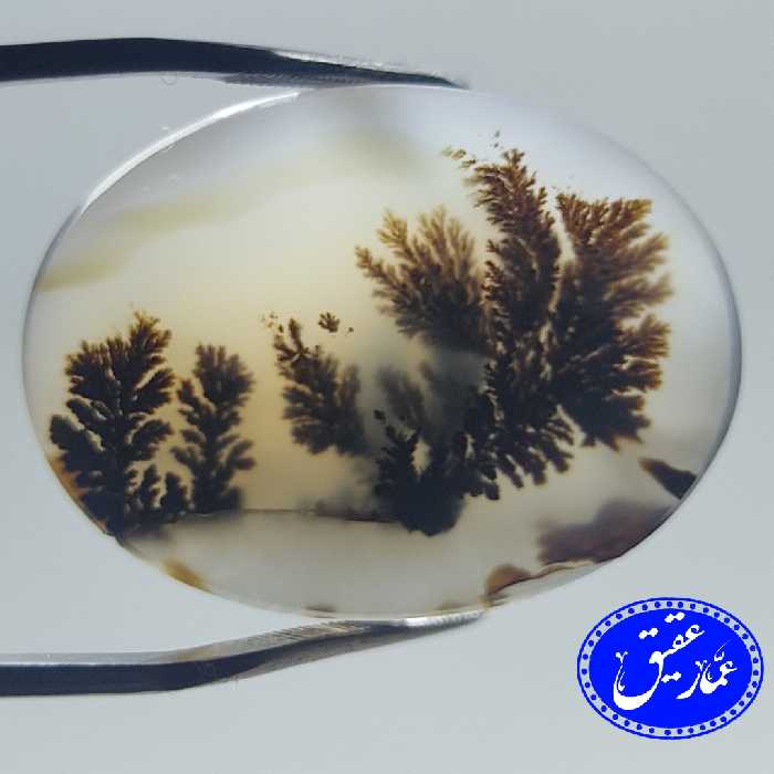 نگین عقیق شجر شیشه ای و قواره درشت قائن