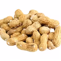 بادام زمینی با پوست شور (1000کرمی)عطارکده