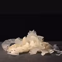 کتیرا صدفی تمیز طعام البرکت 50گرمی