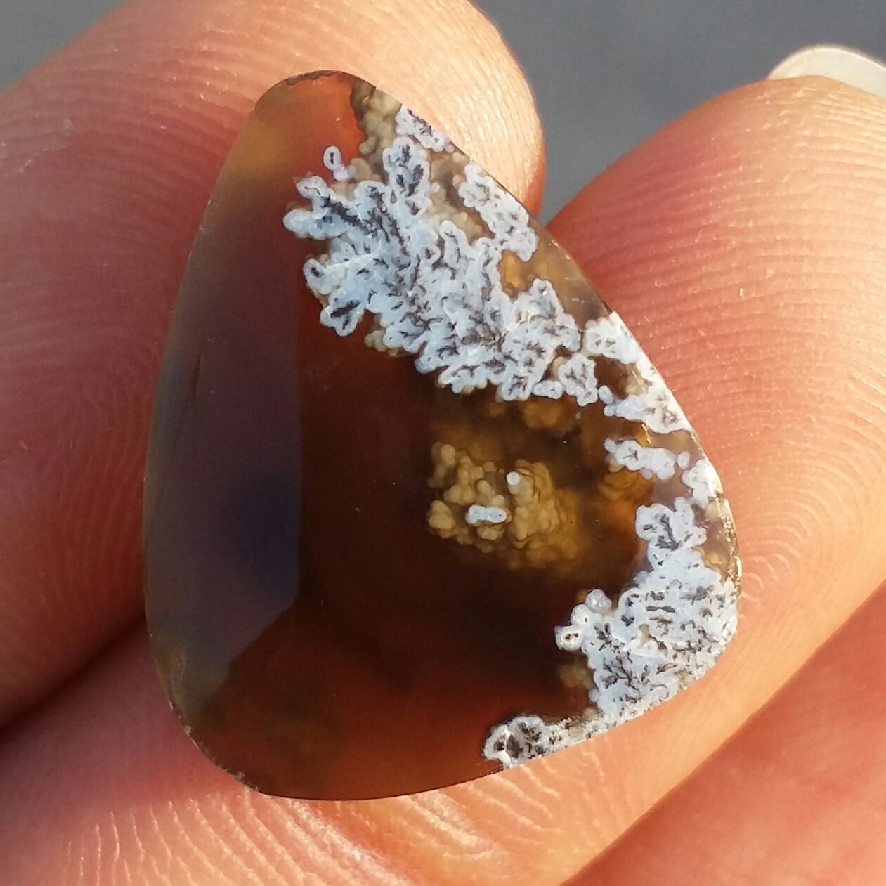 نگین شجر شکوفه زمینه خرمایی عسلی بسیار خوش رنگ نگینی تکرار نشدنی 100درصد طبیعی شاهکار خلقت
فوق کلکسیونی
کد 8544