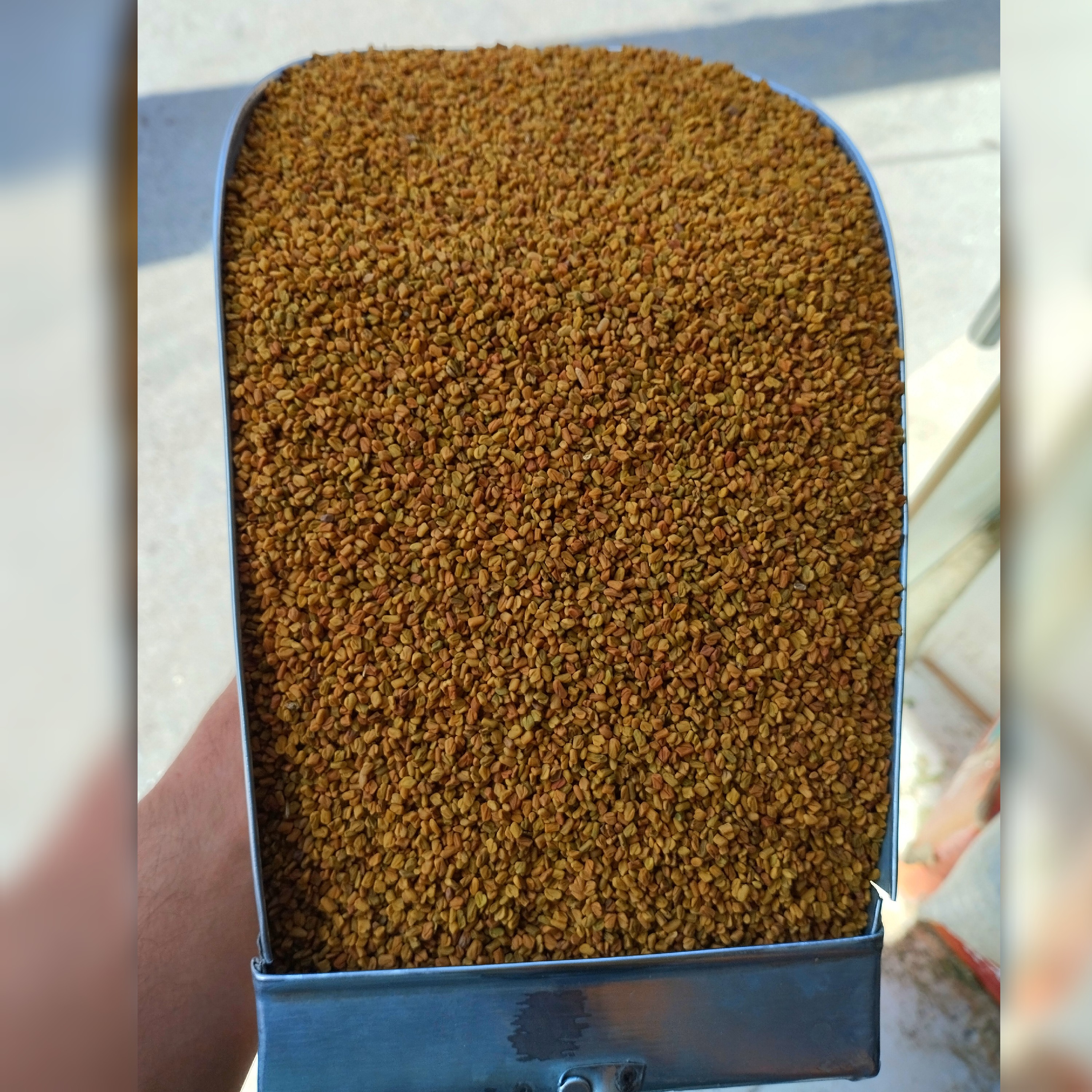 تخم شنبلیله صادراتی (200گرم )