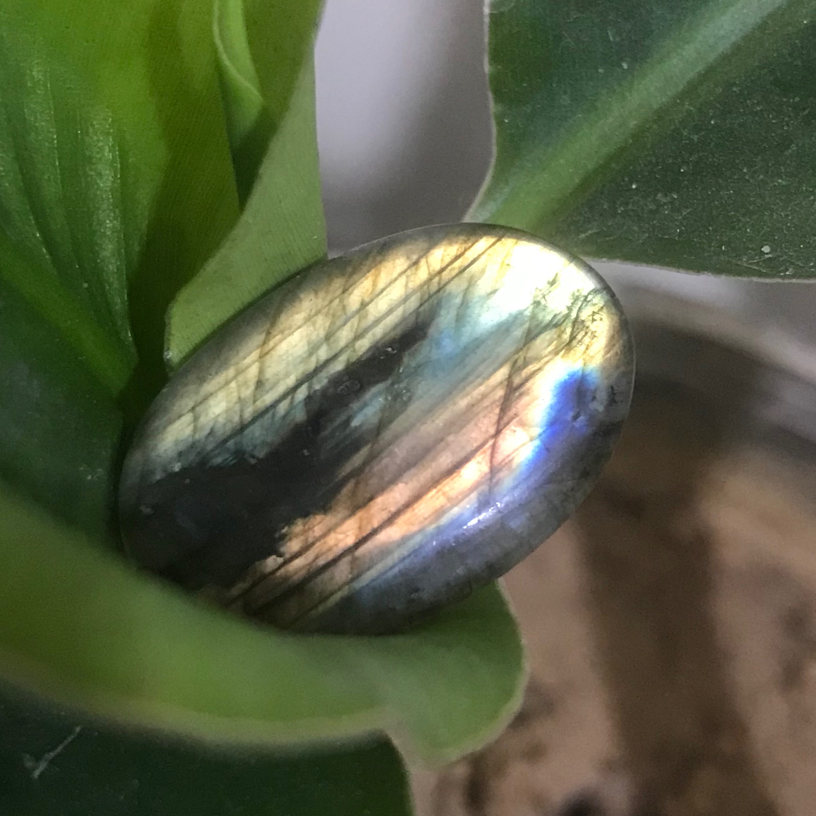 لابرادوریت چهار رنگ با کیفیت ماداگاسکار درشت و مدالی 