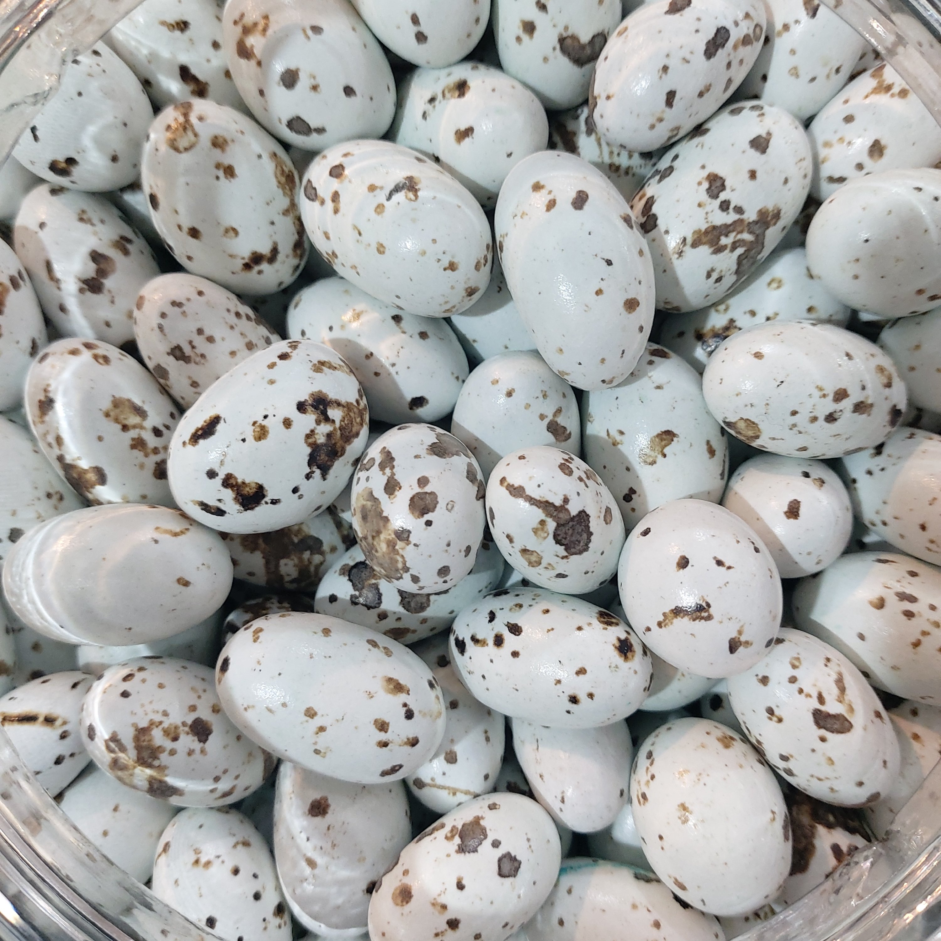 دراژه شکلاتی مدل تخم بلدرچین نیم کیلویی