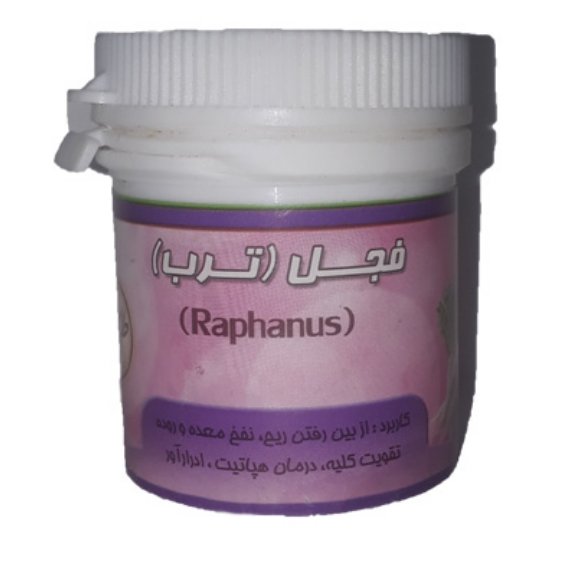 فجل (ترب) 
