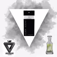 عطرسیلور سنت بوگارت فرانسوی50 میل   BOGART SILVER SCENT( توضیحات خوانده شود )