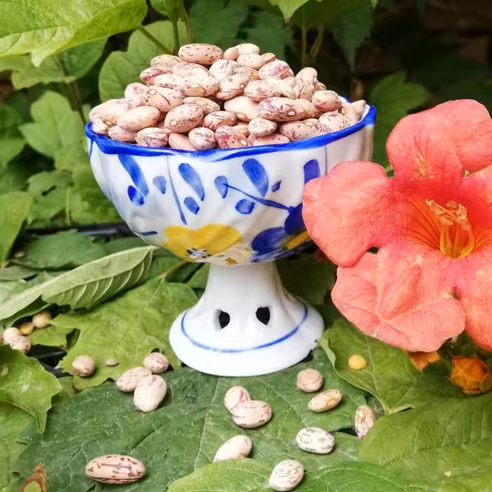 لوبیا چیتی تازه و خوش پخت(2000گرمی)ارسال رایگان