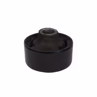 بوش طبق بزرگ آریو