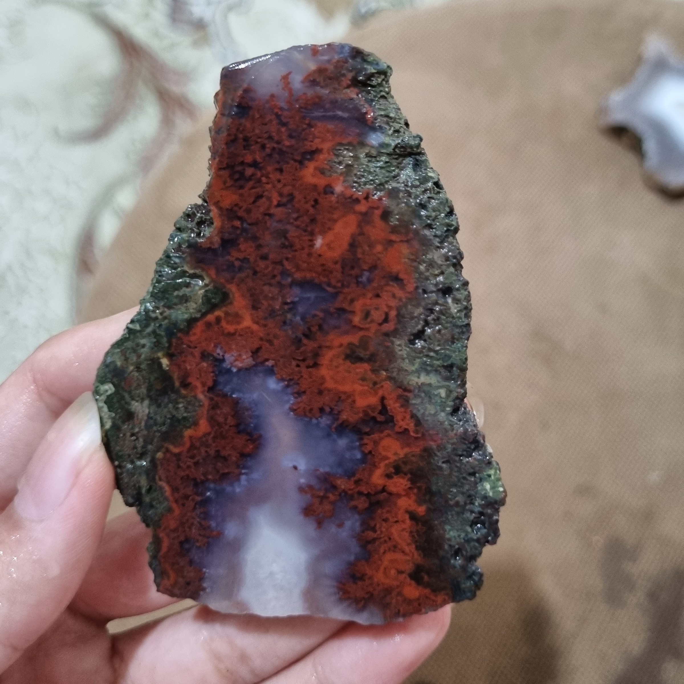 سنگ شجر کد22