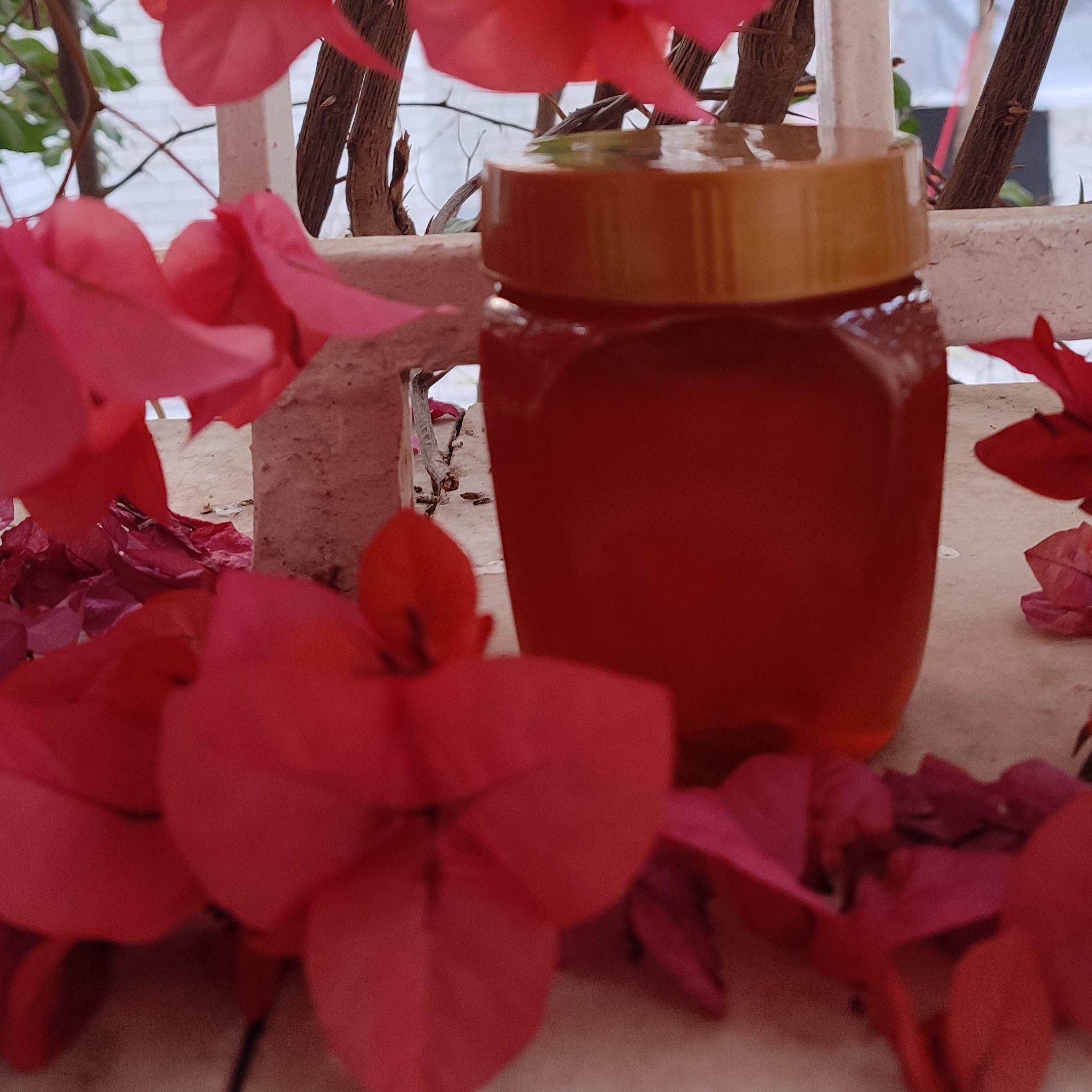 عسل اویشن