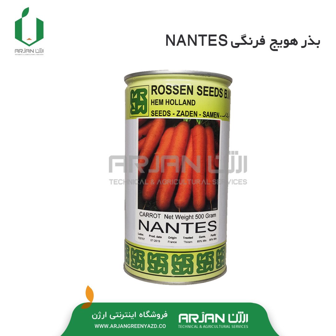 بذر هویج فرنگی واریته NANTES ( قوطی 500 گرمی ) فرانسوی