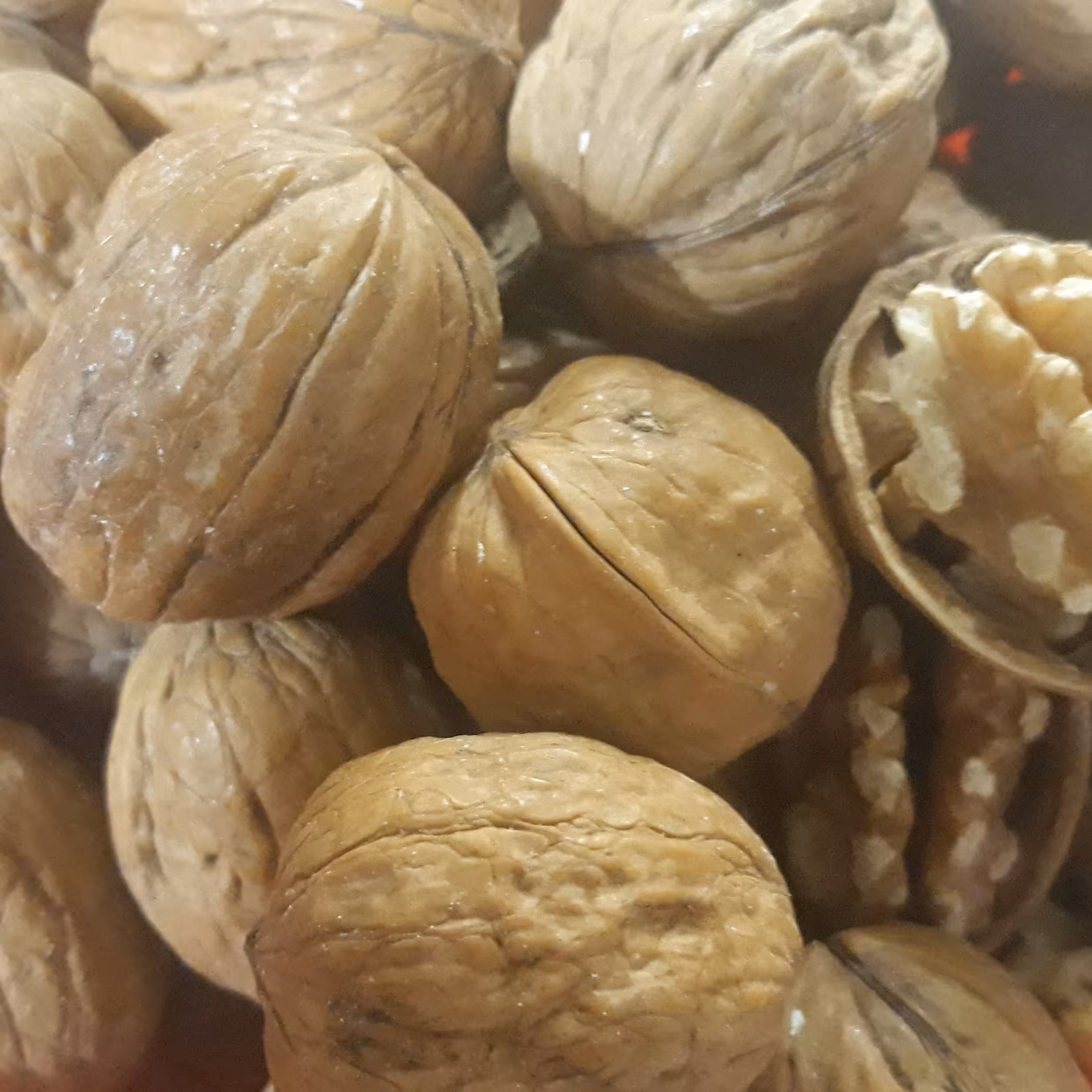 گردو ایرانی درجه یک