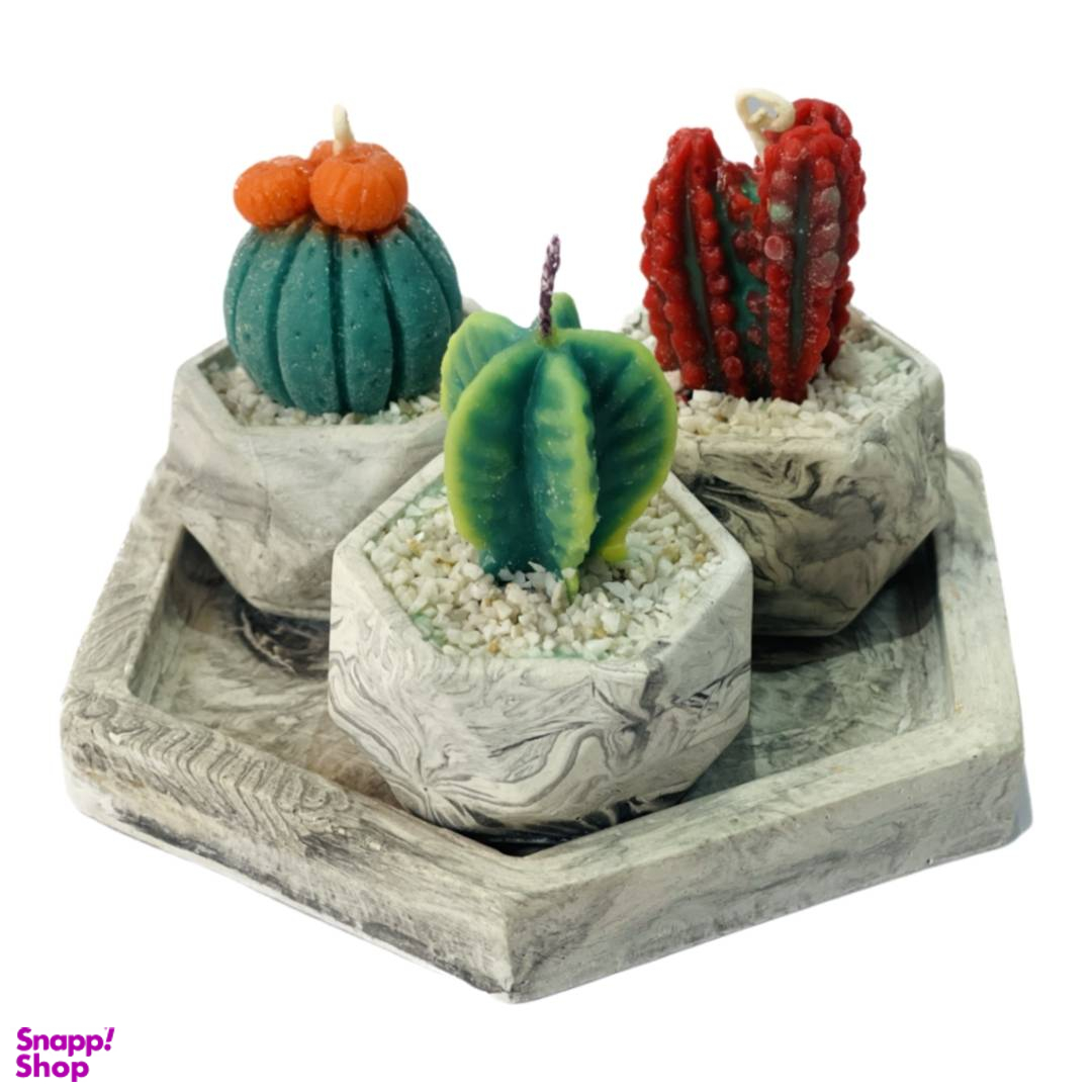 شمع مدل کاکتوس مجموعه 3 عددی به همراه سینی