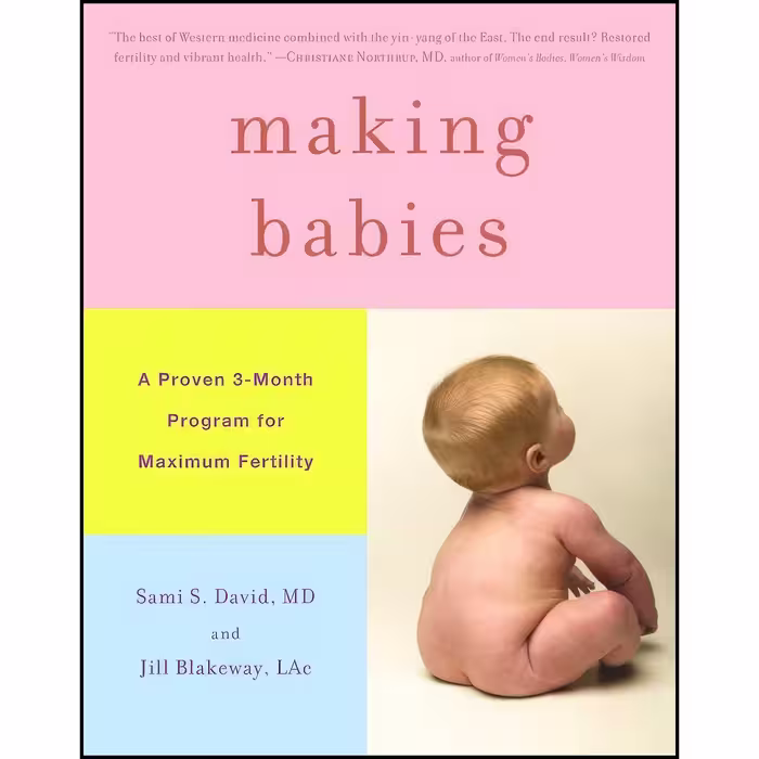 کتاب زبان اصلی Making Babies اثر Sami S David and Jill Blakeway