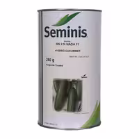 بذر خیار هیبرید 2n (رویال) سمینیس