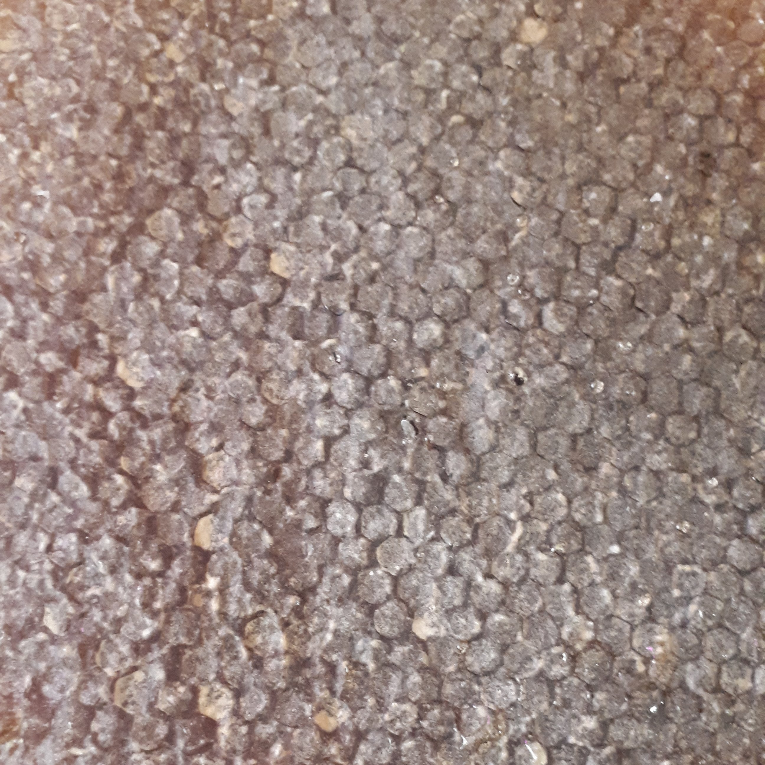 عسل طبیعی ( 1.350 کیلوگرم)