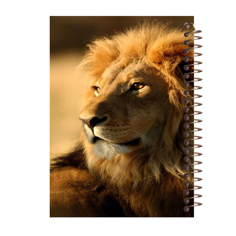 دفتر یادداشت آف تاب شهر طرح Lion کد 4153