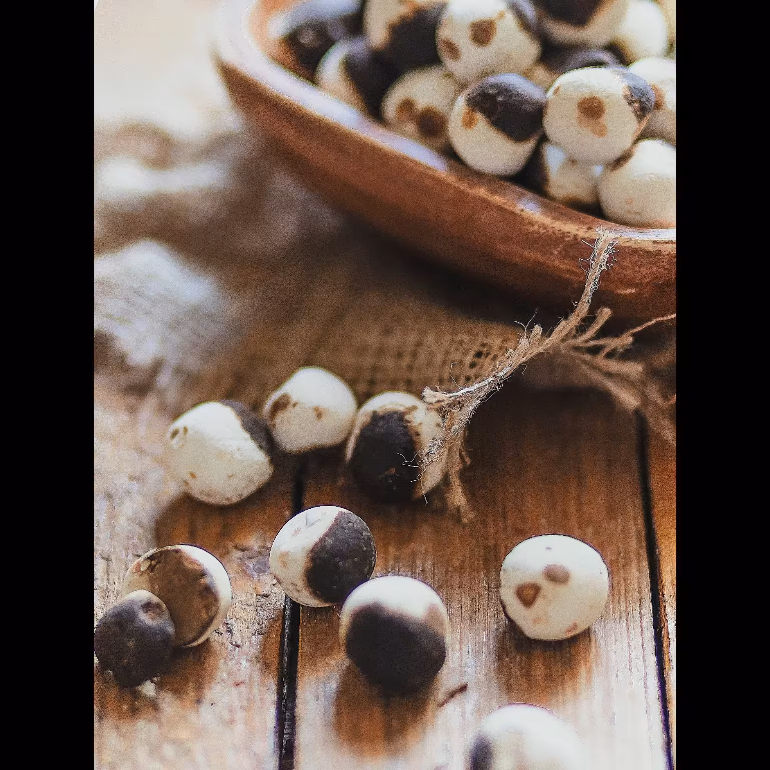 کشک قره قروتی 500 گرمی با بسته بندی ویژه ارسال رایگان