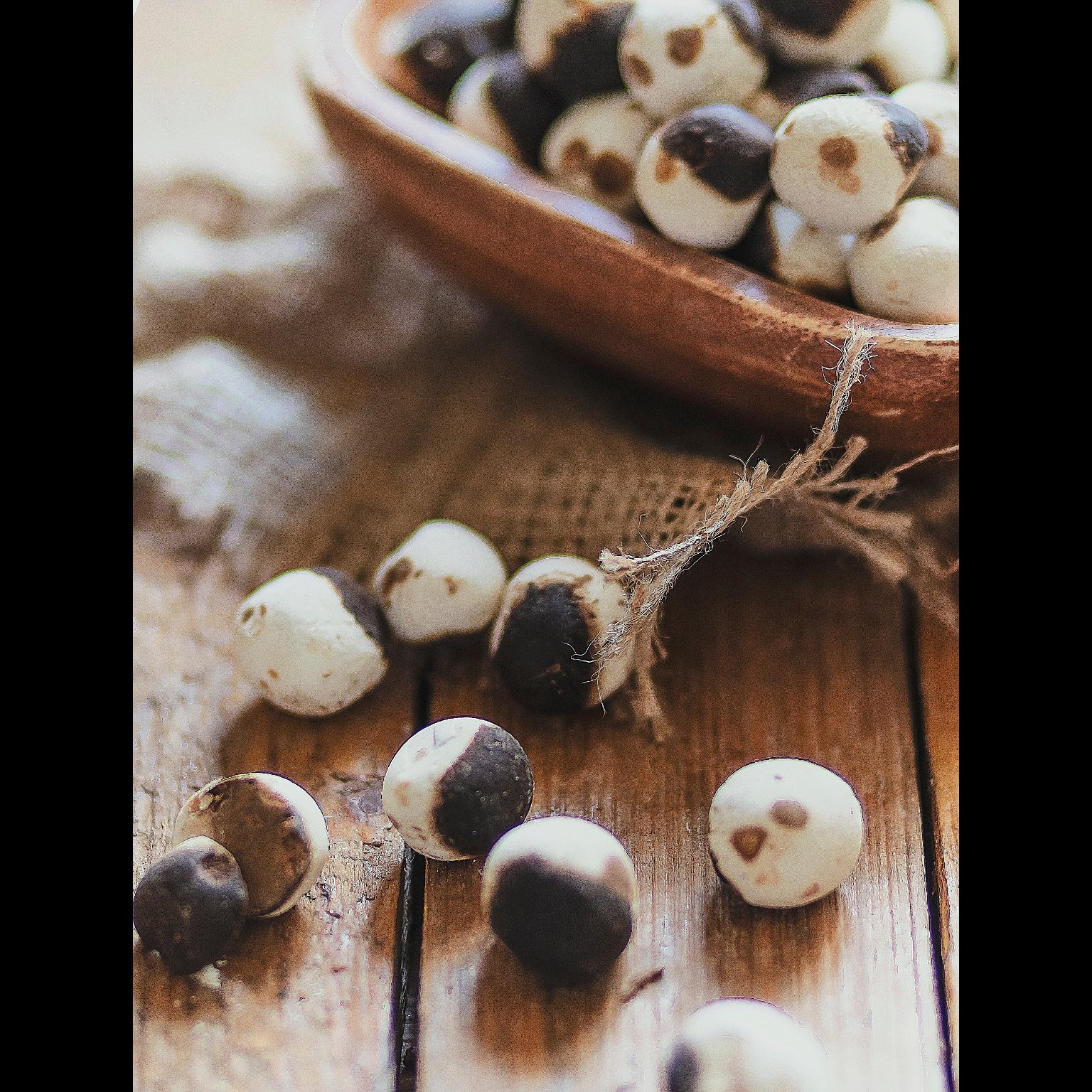 کشک قره قروتی 500 گرمی با بسته بندی ویژه ارسال رایگان