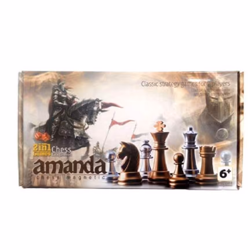 بازی فکری شطرنج آهنربایی

