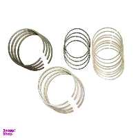 رینگ موتور ریک مدل 0.50 کد 40213 مناسب برای یورو 4 20 عددی