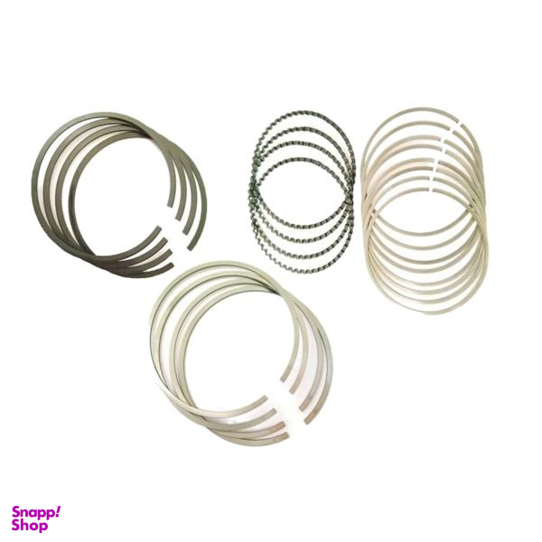 رینگ موتور ریک مدل 0.50 کد 40213 مناسب برای یورو 4 20 عددی