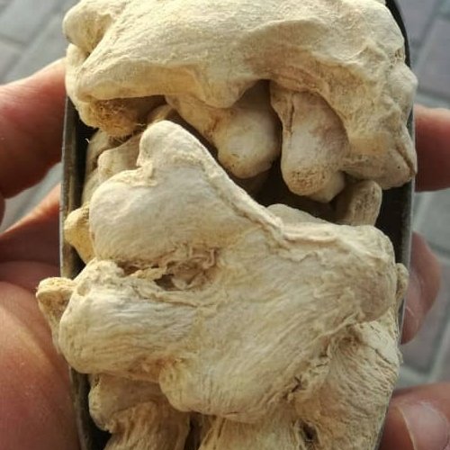 زنجبیل قلم صد گرمی