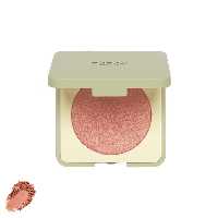 رژ گونه کیکو میلانو مدل Green Me Blush شماره 101