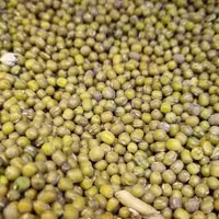 ماش یک کیلویی