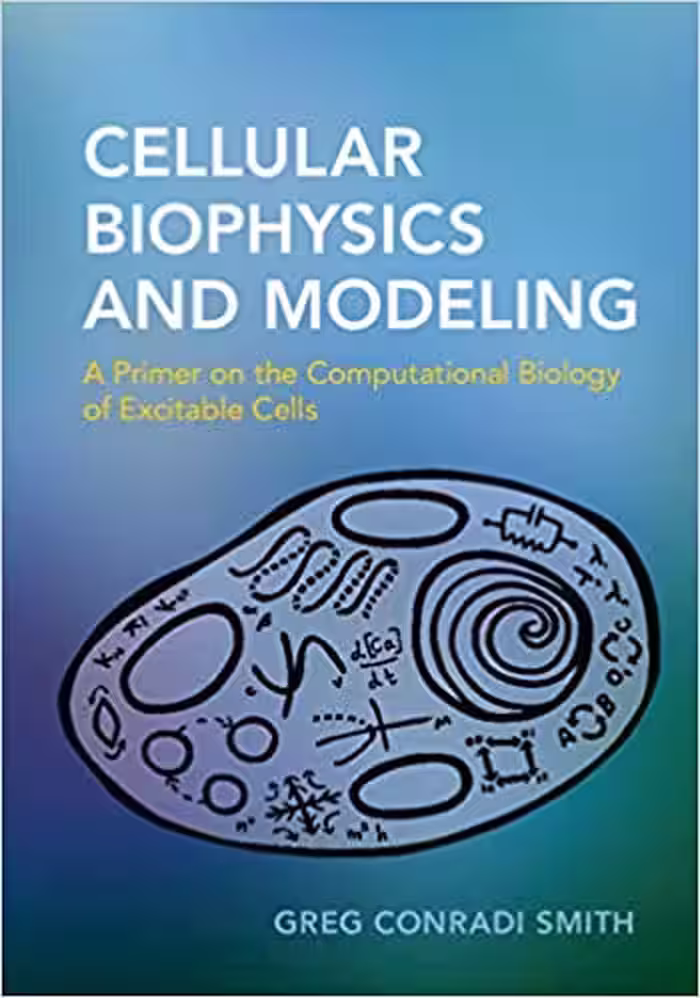 󾕇 دانلود کتاب Cellular Biophysics And Modeling - A Primer On The Computational Biology Of Excitable Cells, 2019 - دانلود کتاب های دانشگاهی