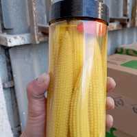 ترشی ذرت(بی بی کورن)