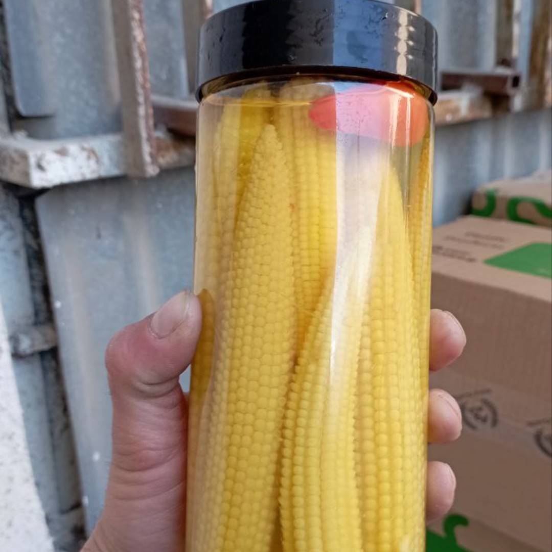 ترشی ذرت(بی بی کورن)