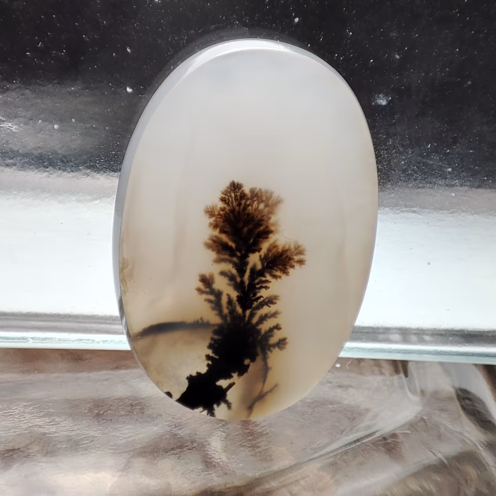 شجر قائن منظره کلکسیونی طبیعی و معدنی کد 804