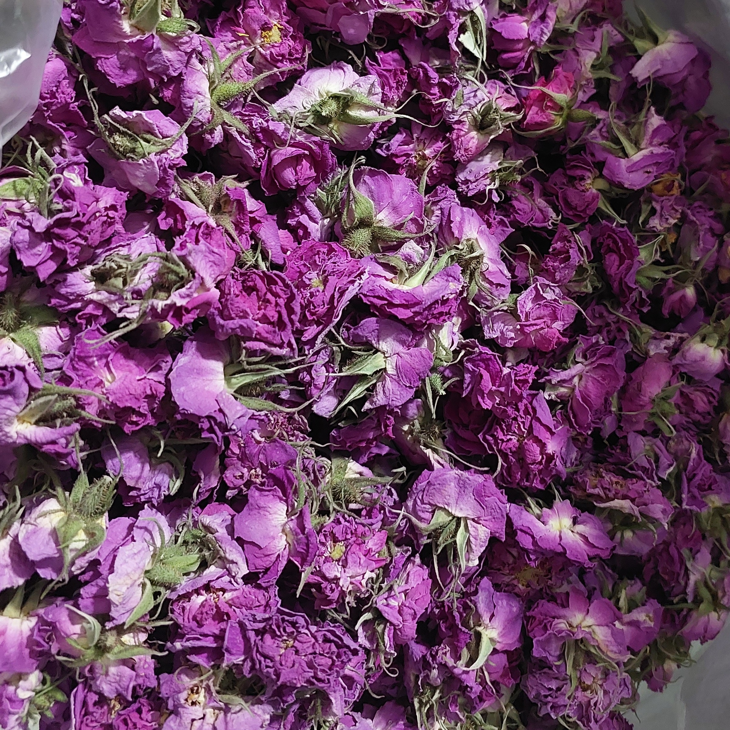 گل محمدی(90گرمی)