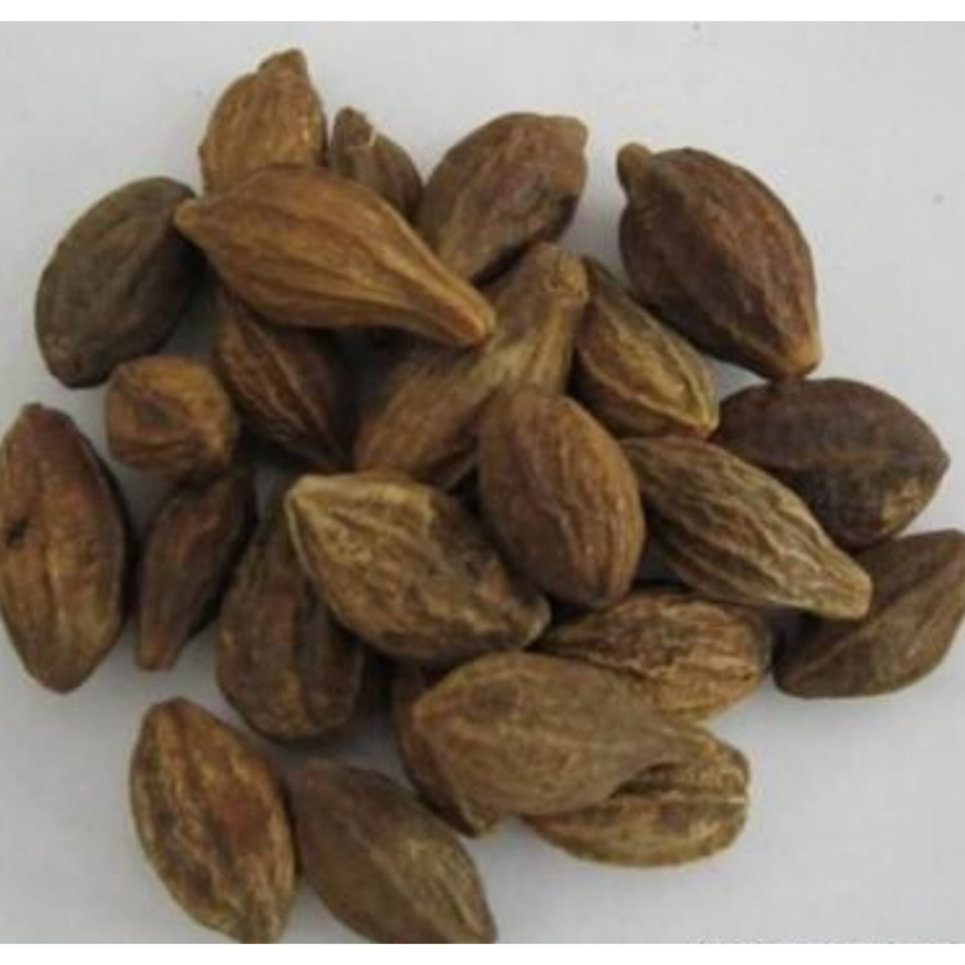 هلیله زرد (100 گرمی) 