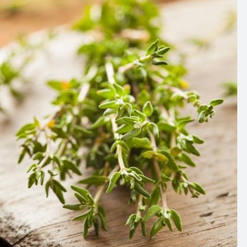 آویشن کوهی  تازه و امسالی 250گرمی