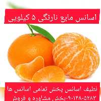 اسانس مایع نارنگی 5 ‌کیلویی طعم دهنده قوی