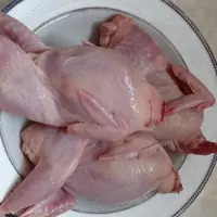 بلدرچین آمد برای طبخ