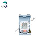 فشارسنج دیجیتال مچی پانگائو مدل PG 800 A31