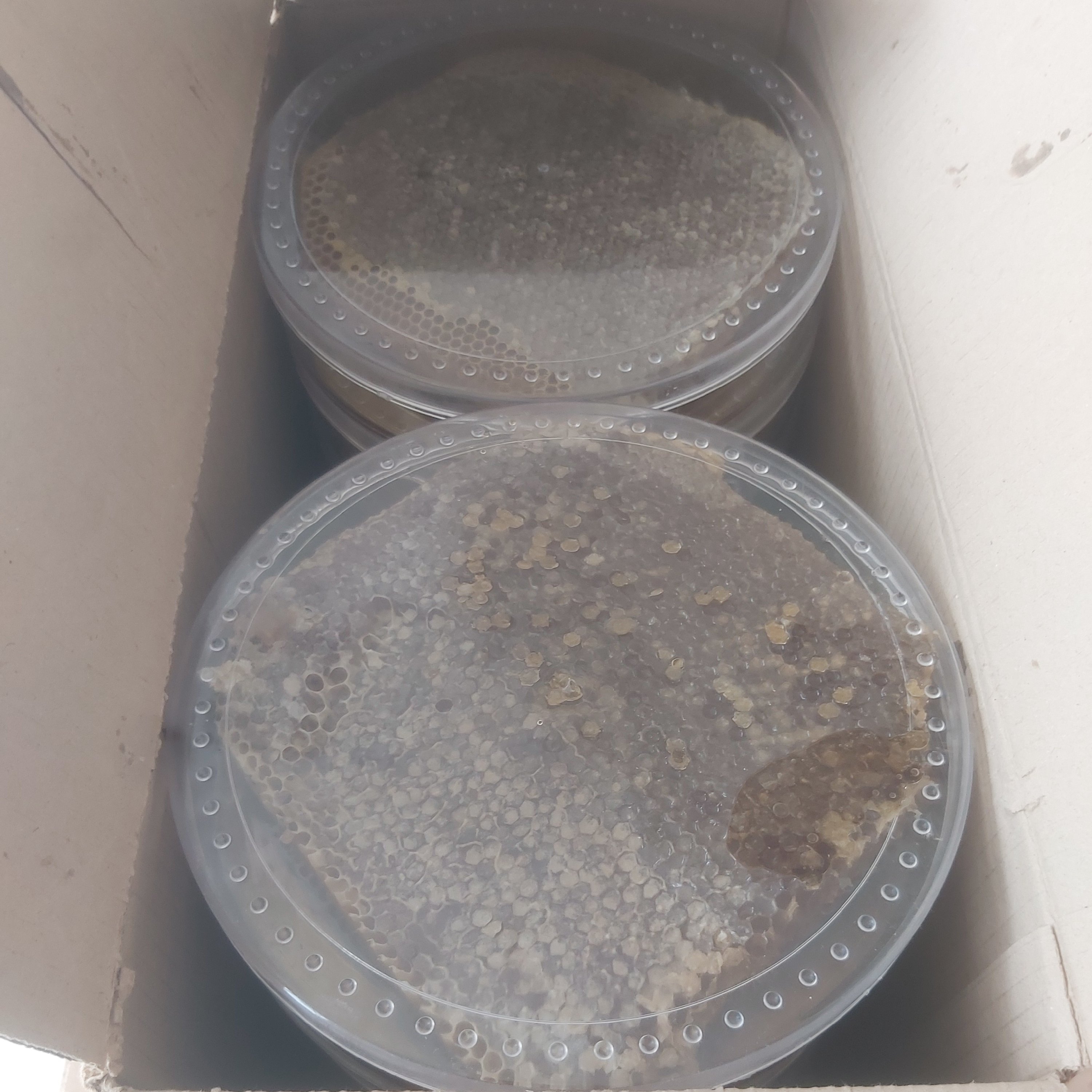 عسل سبدی با موم طبیعی(موم خود بافته)