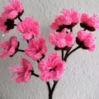 بافت شاخه  شکوفه گیلاس