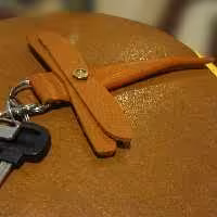 جاسوئیچی چرمی سنجاقک