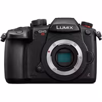 دوربین بدون آینه پاناسونیک Panasonic Lumix GH5S