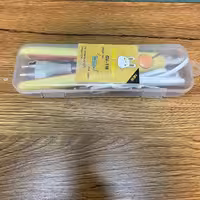 اتو مسافرتی