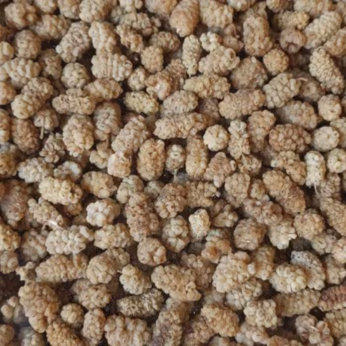 توت خشک امساله  شیرین بار متوسط  250 گرمی آجیل و خشکبار مهران 