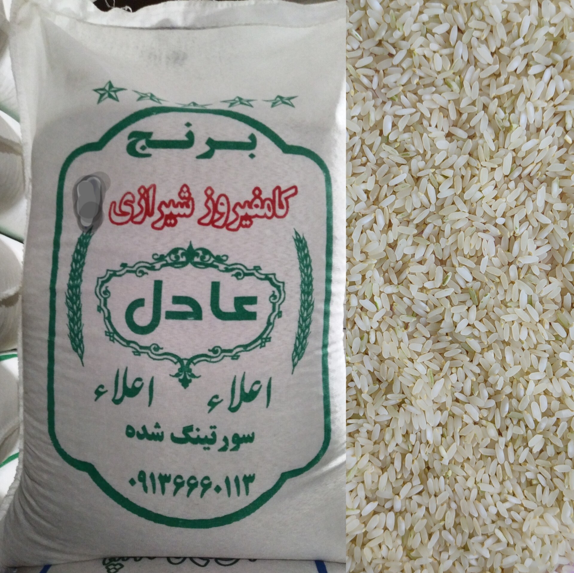 برنج کامفیروز شیرازی درجه یک دارای طبع گرم(5 کیلوگرمی)