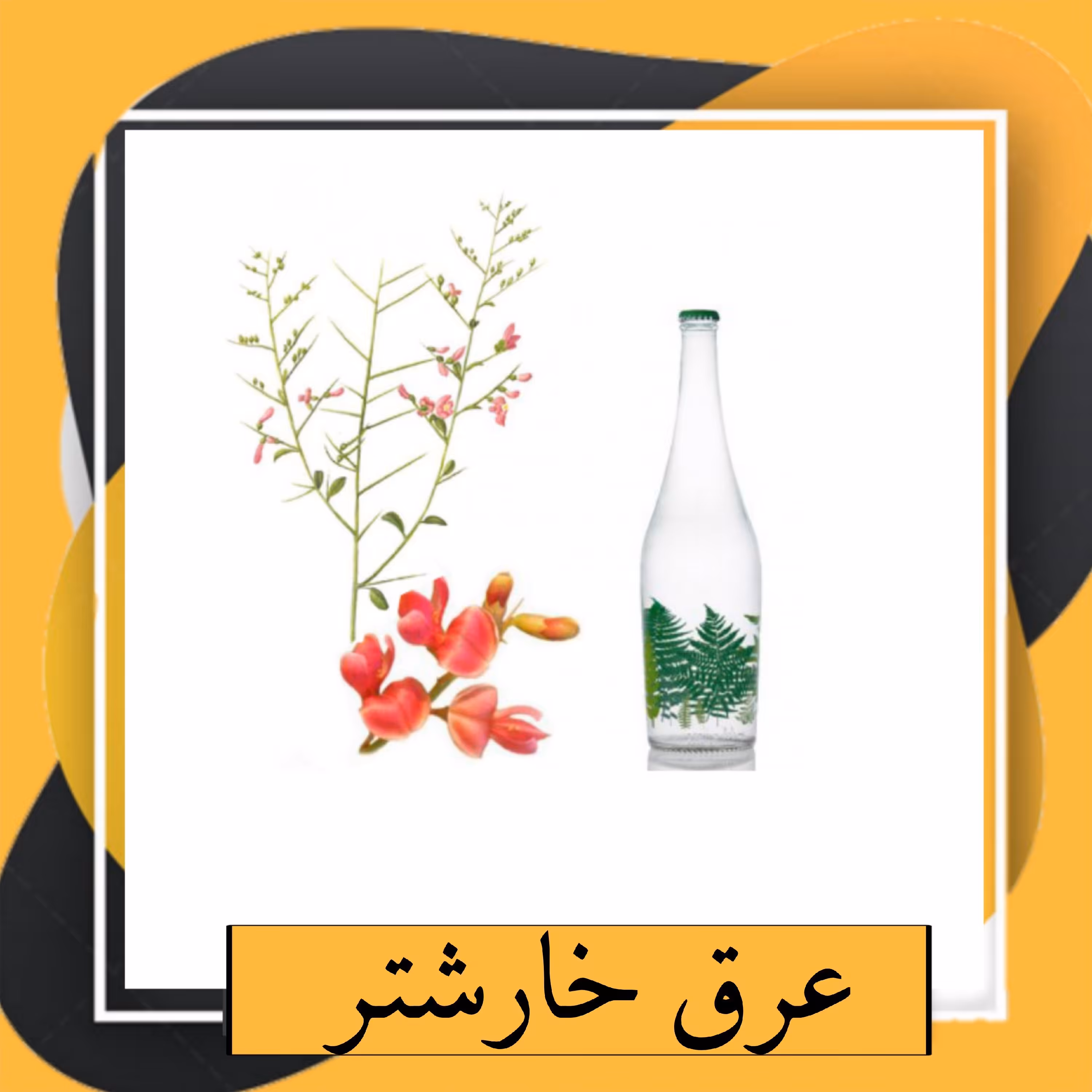 عرق خارشتر (1 لیتری) 