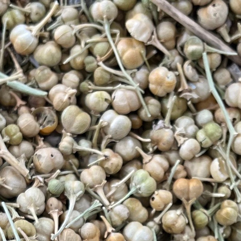 اسپند نخودی درشت  (یک کیلویی) از عمده فروشی ادویه کیامد