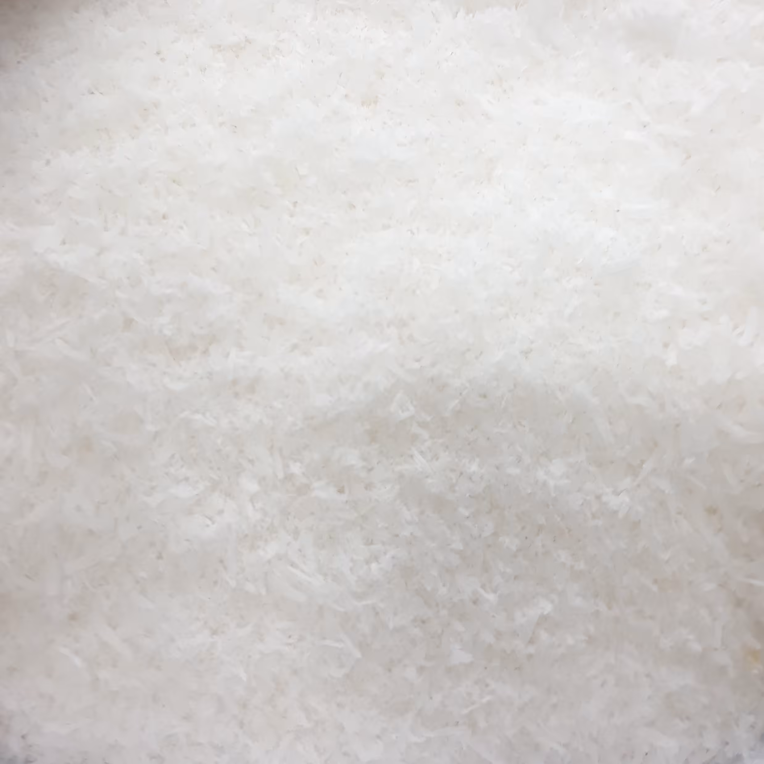 پودر نارگیل سریلانکا(100 گرمی)درجه 1